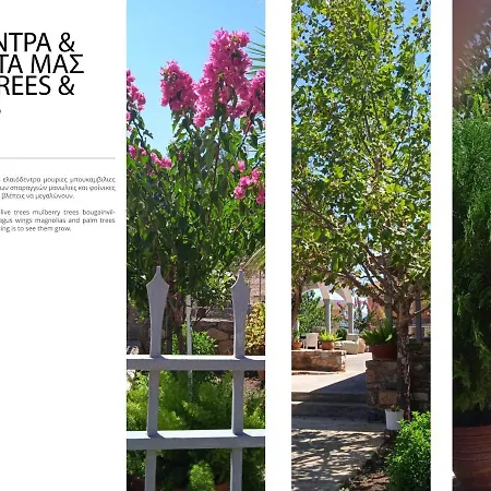 Διαμέρισμα Paul's House