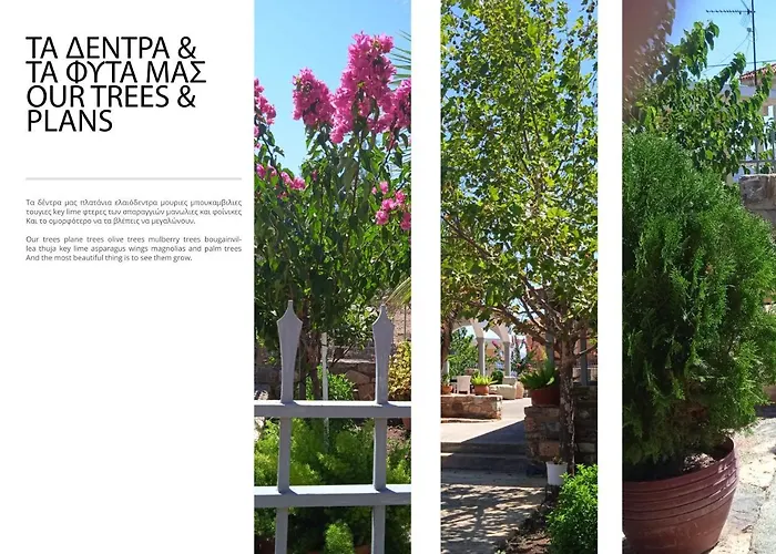 아파트 Paul's House